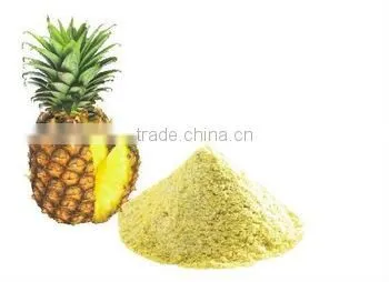 spray dried fruit powder
