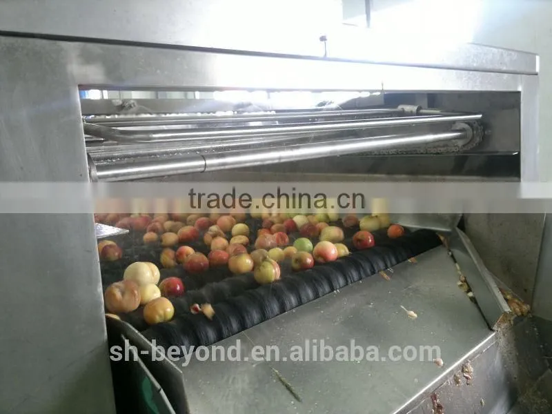 Complete Peach Fruit Processing Line