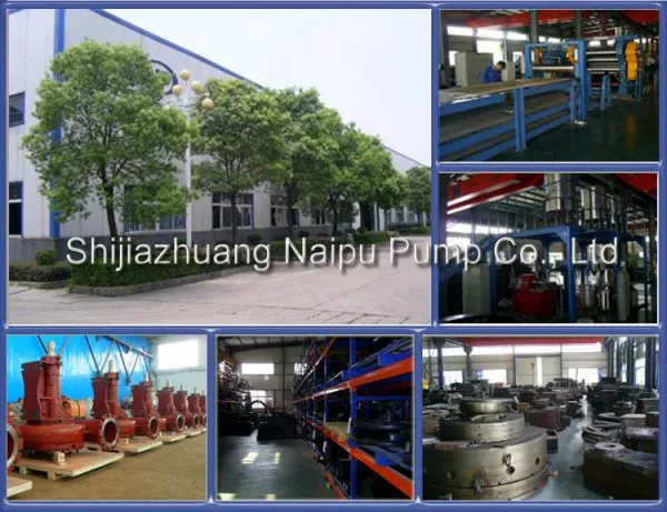 Shijiazhuang Naipu Pump Co., Ltd company overview - view 1