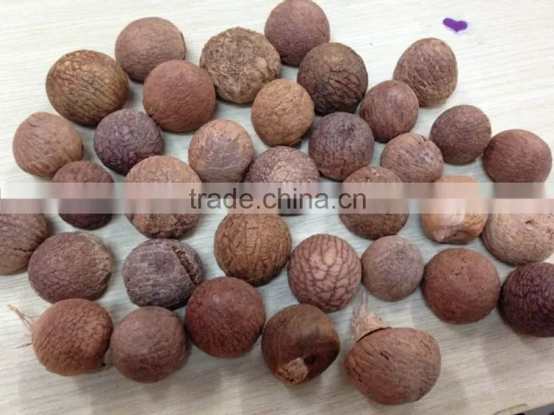 SELLING BOILED BETEL NUT Wrinkle seeds FROM VIETNAM