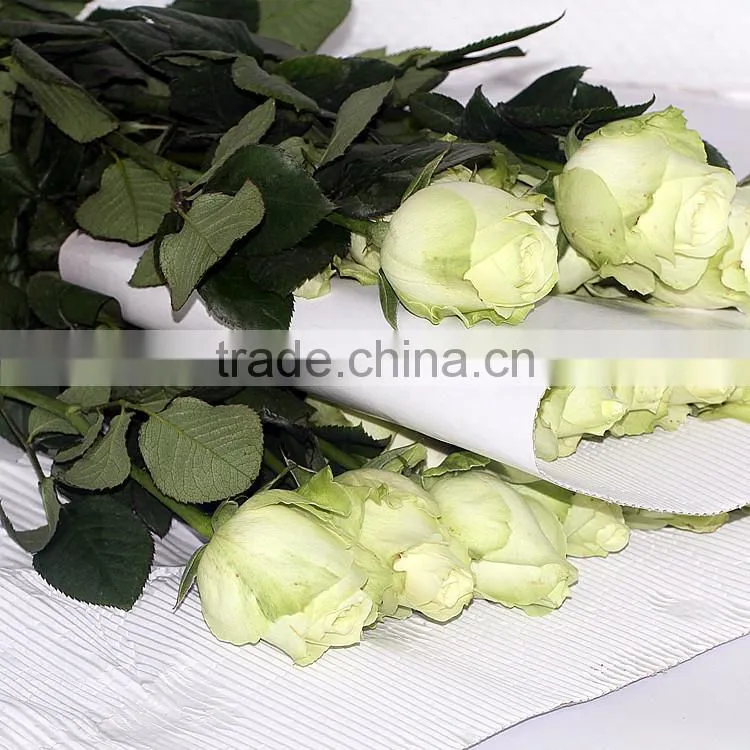 Export roses fresh cut flowers from Kunming of China