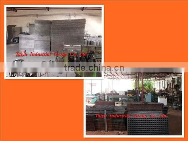 layer poultry rearing cages for Nigeria/Africa