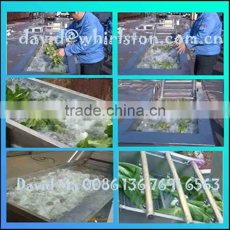 fresh fruit and vegetable washing machine