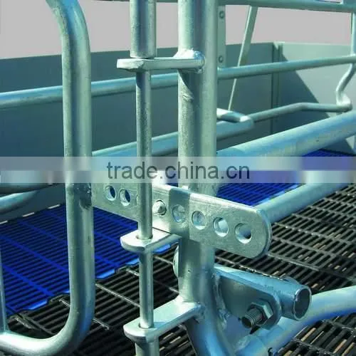 Pig Equipment Hot Galvanzied Factory Supply Farrowing To Finish
