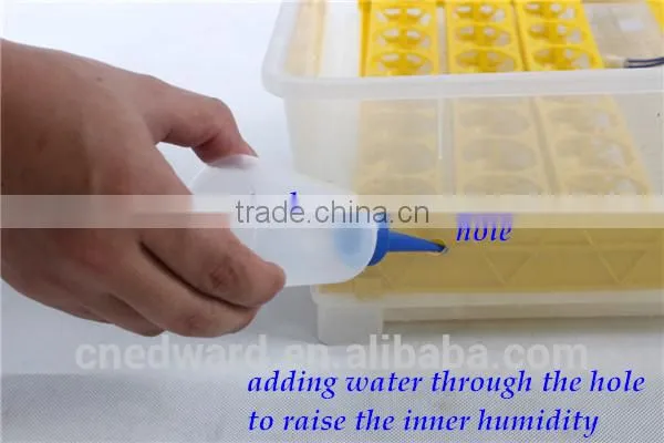 HHD Edward Newest CE 12+220V 48 Eggs Chicken Incubator For Sale/Incubator For 48 Eggs/Chicken Egg Incubator Eggs, Transparent