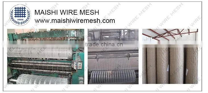 Stainless Steel Wire Mesh/304 Stainless Steel Wire Mesh/Stainless Steel Welded Wire Mesh Factory