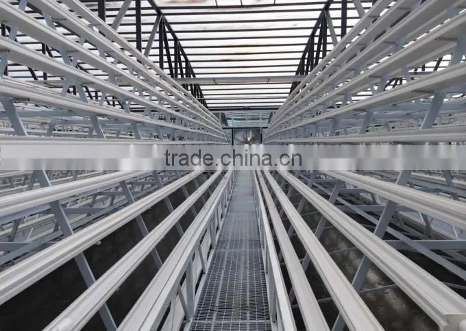 China factory greenhouses structure with hydroponic system