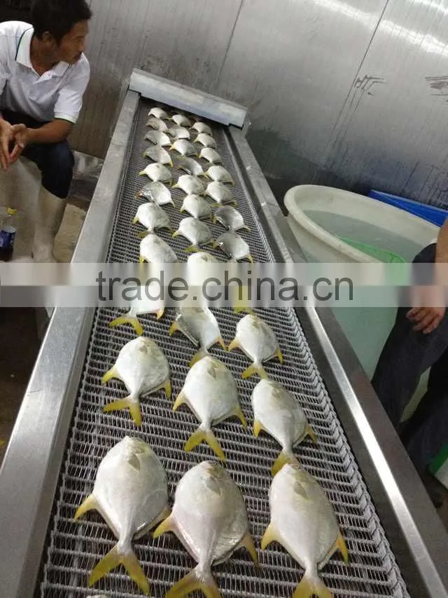 High Quality Frozen Golden Pomfret Fish