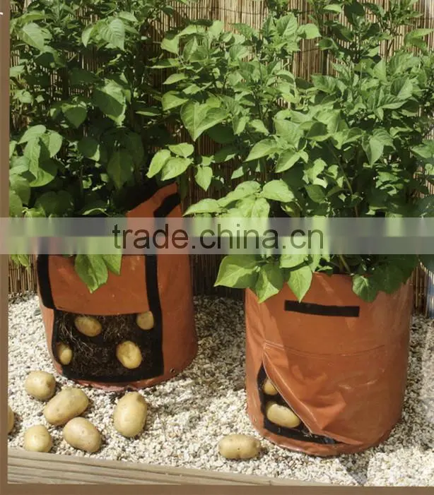 Potato Planting Bag / Garden plant Cover