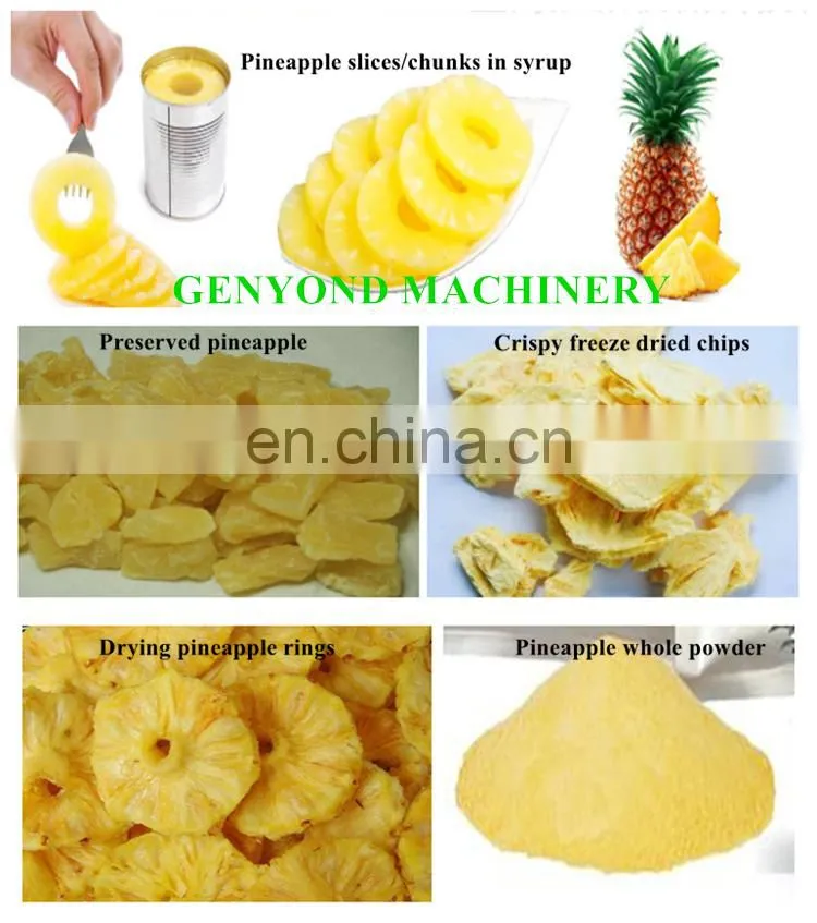 Hot sale fruit juice extractor/apple fruit juice making equipment/industrial apple juice press concentrate production line