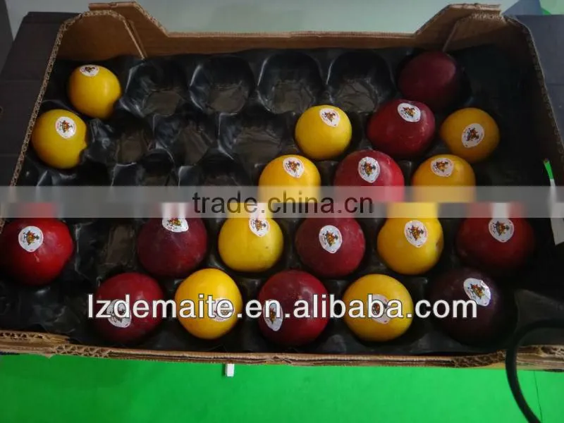 Mango Tray Insert