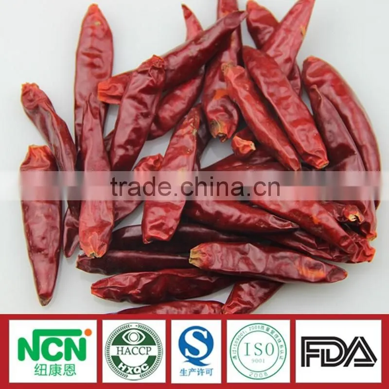 New Crop of Tianying Red Chilli
