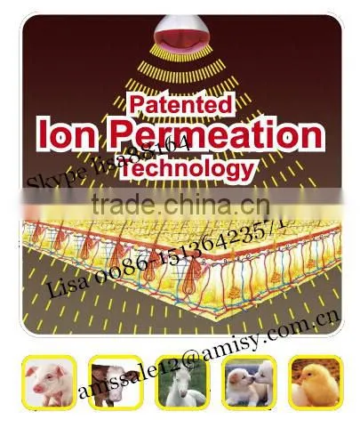 Clear color 100w infrared heat bulb
