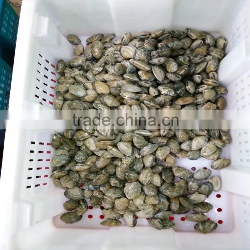 FROZEN DELICIOUS READY TO EAT CLAM