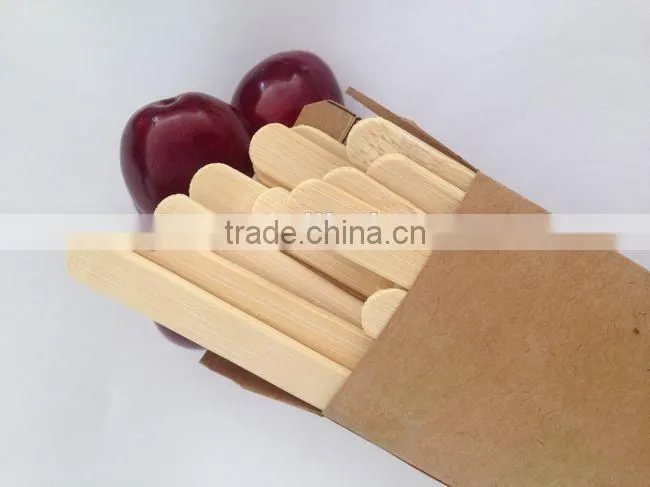 Plastic Popsicle Mold,Ice Cream Mold,Popsicle Stick