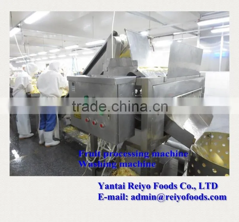 impurity removing and cleaning machine / fruits and vegetables cleaning machine