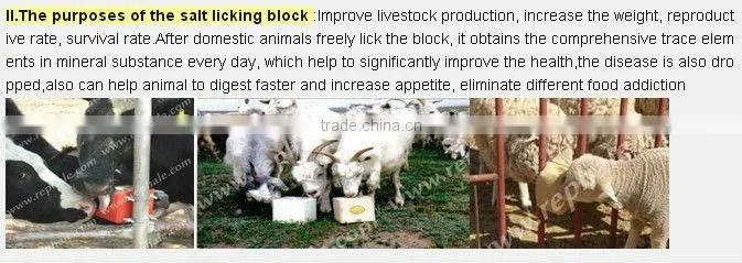 wholesale automatic animinal mineral block machine 0086 15638185393