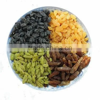 hot air raisin drying unit