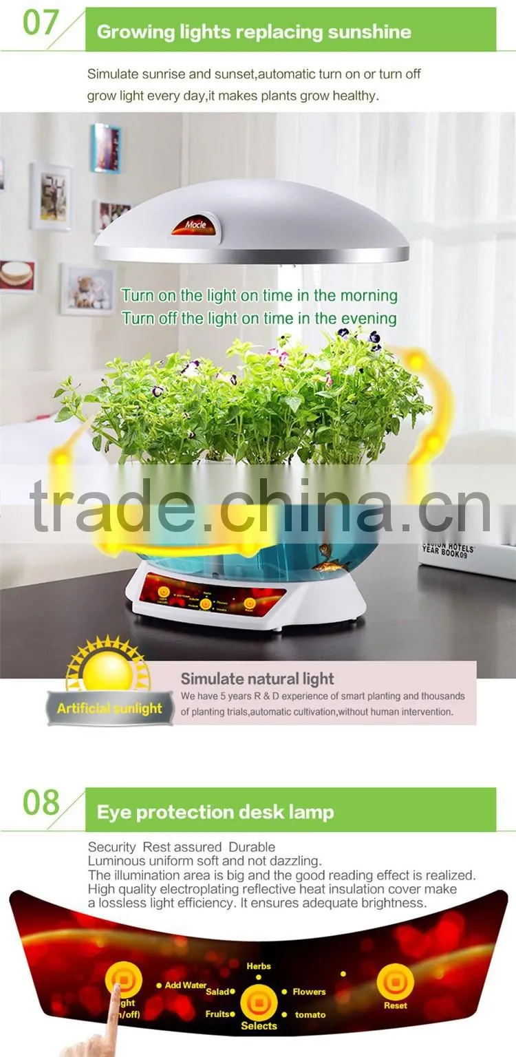 grow expand water toys