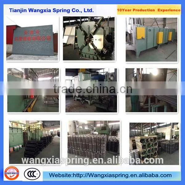 two -eye leaf spring