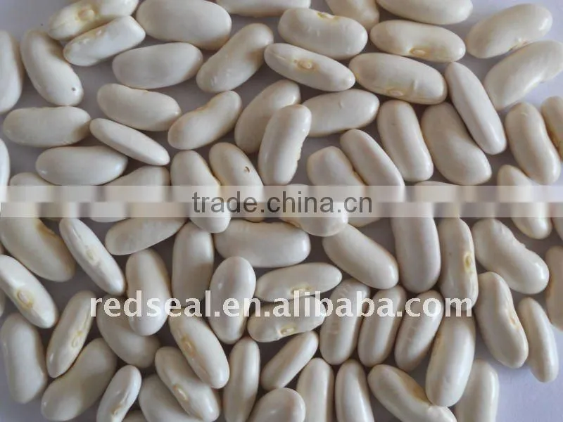 medium white kidney beans