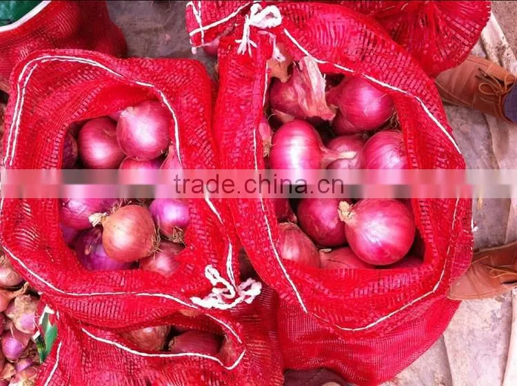 onions exporters