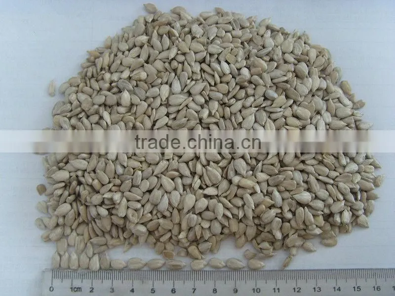 Oil Sunflower seed kernels (bakery grade)