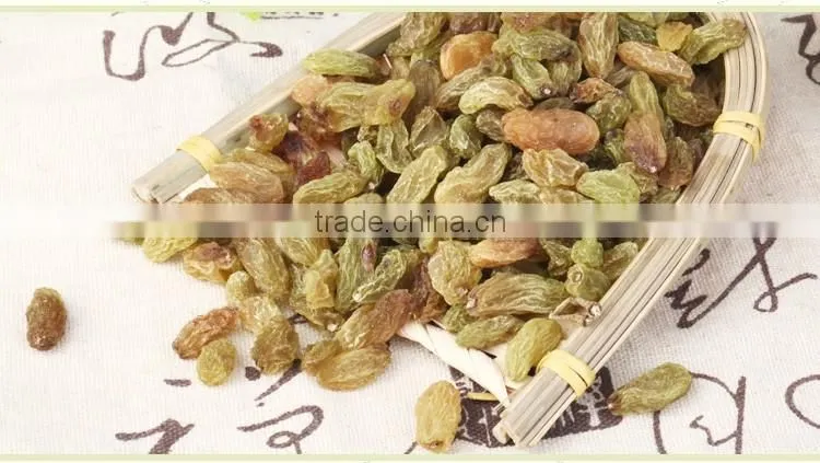 good price green raisins seedless grape