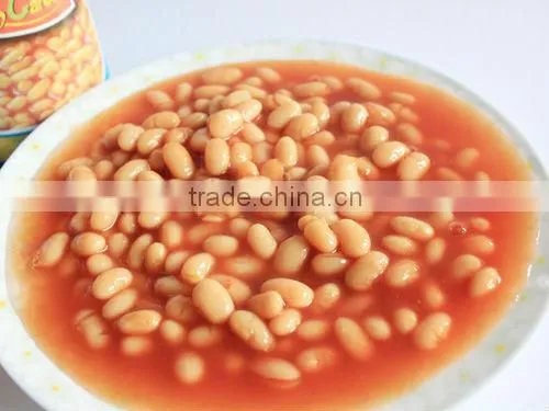 white kidney beans in tomato sauce 400g,410g,425g