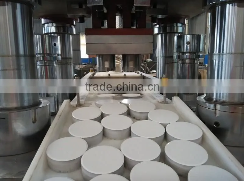 Newly designed hydraulic tablet press machine for TCCA 90 Chlorine tablets