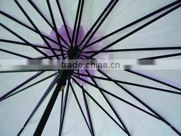 apollo lady umbrella