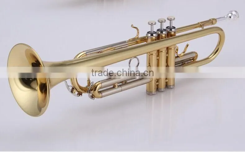 Entry Level trumpet for students beginner