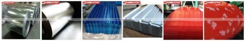 CGCC Hot dipped galvanized steel sheet coils