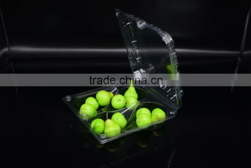 5 compartments disposable plastic salad bowl with lid