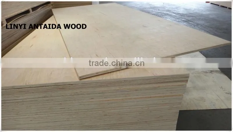 China birch plywood