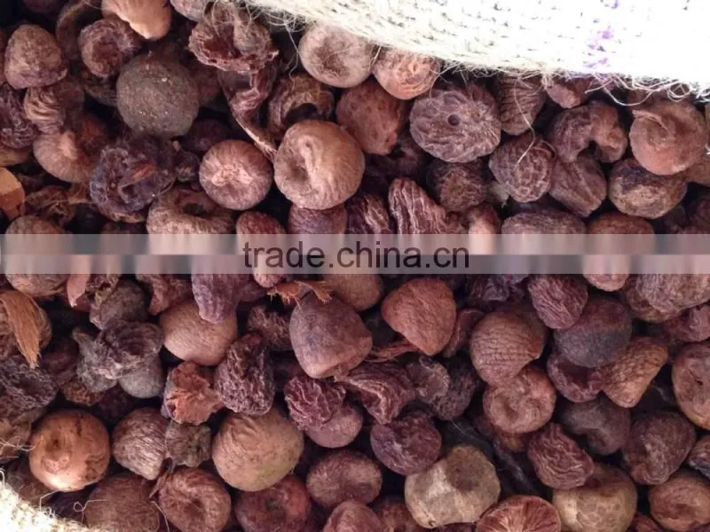 SELLING BOILED BETEL NUT Wrinkle seeds FROM VIETNAM