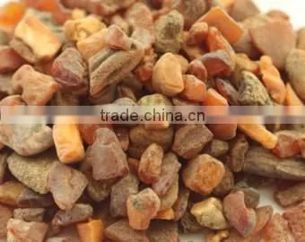 Ukraine Amber