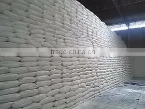 Pregelatinized Starch