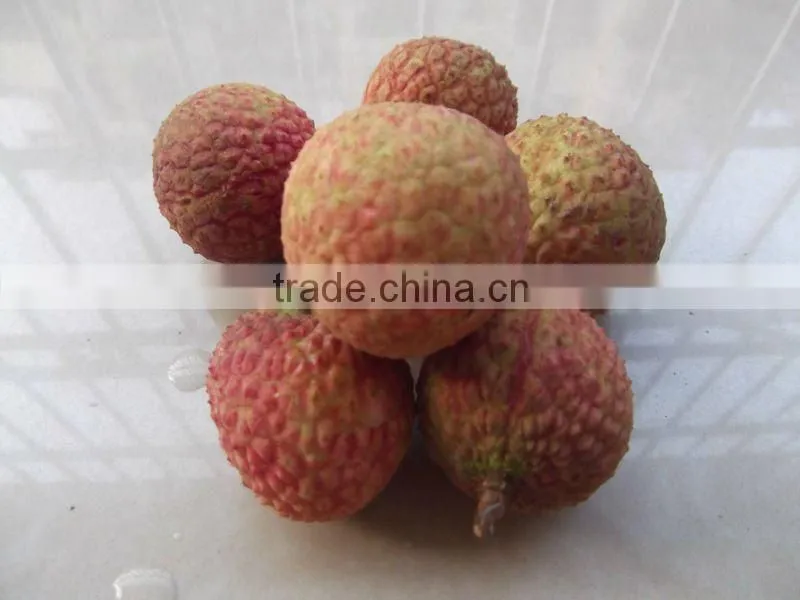 2016 Fresh Fruit Lichee from China