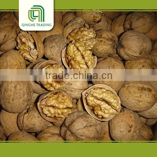dried fruit walnut and walnut kernels walnut without crust for sale