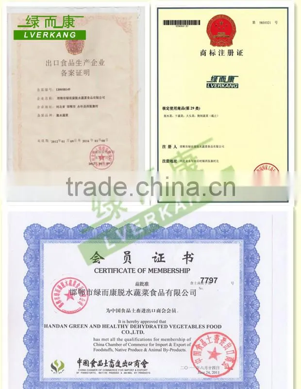 Milky white dried garlic baked powder, good garlic powders from Yongnian, China