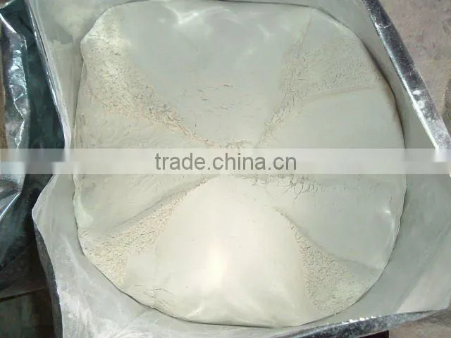 Dehydrated Garlic Powder