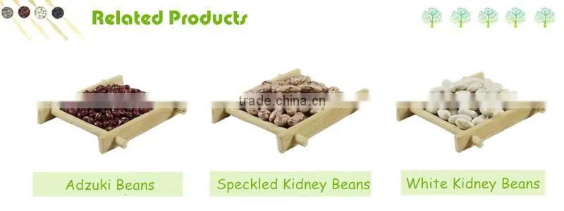 200-220pcs/100g Red Speckled Kidney Bean For Sale