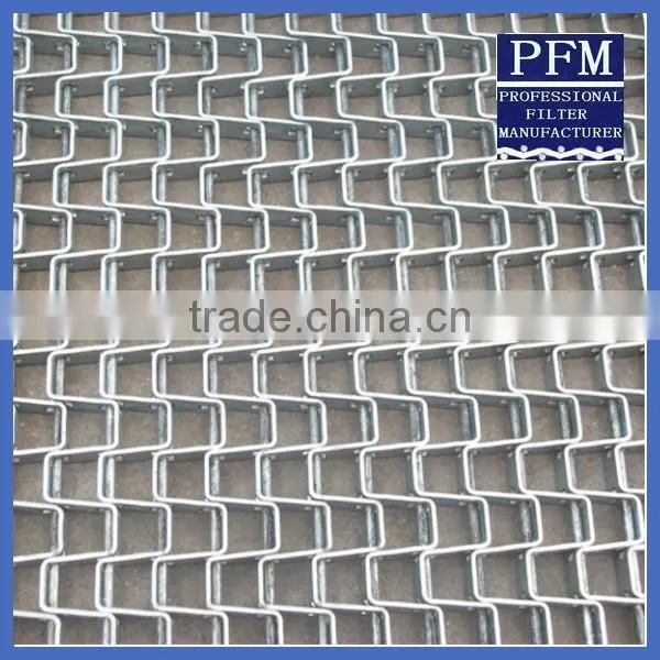 Stainless Steel Eyelink/ Chain Wire Ring Conveyor Wire Mesh Belts