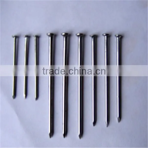 common nail / common wire nail / common iron nail