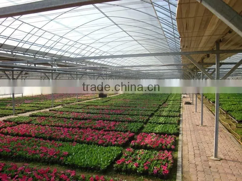 Winter garden flower greenhouse tunnel film