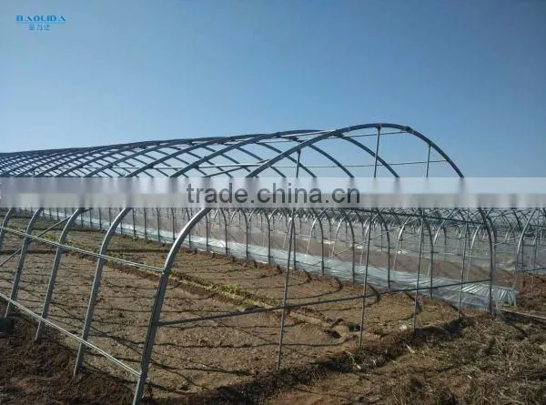 Metal pipe greenhouse tunnel