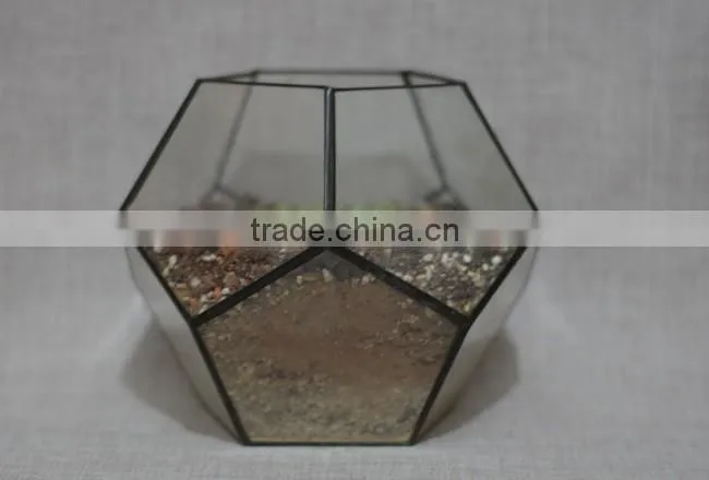 Attractive indoor decor glass flower vase clear glass terrarium globe