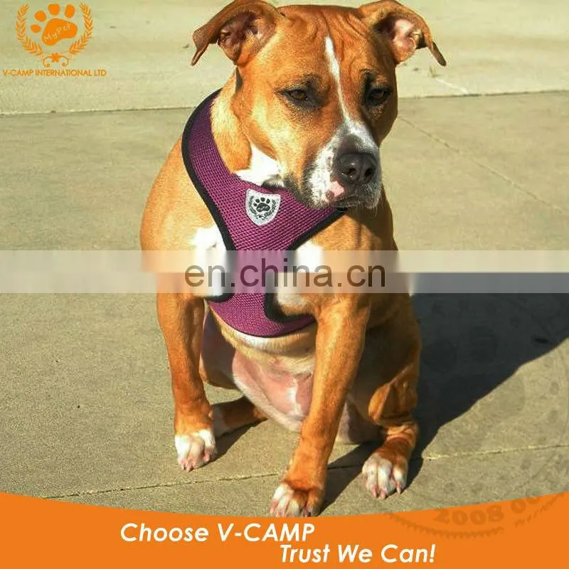 My pet air mesh harness for your little puppy