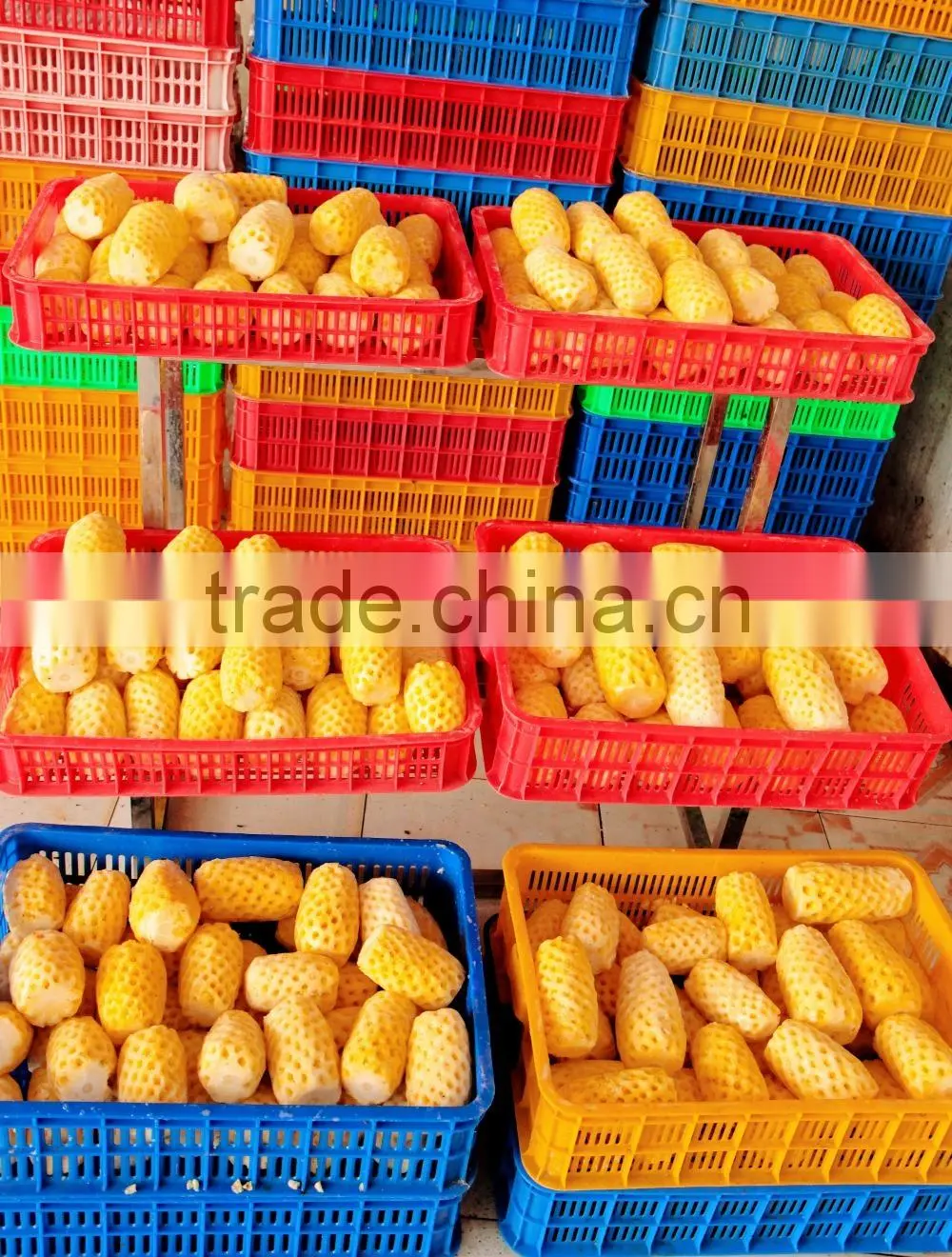 Frozen Pineapple Sliced from Vietnam